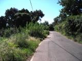 Particella, SEZZE, 95.000 €, 40000,00 mq