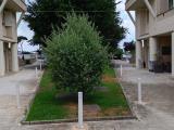 Appartamento, FIUMICINO, 235.000 €, 73,00 mq