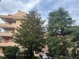 Appartamento, CASERTA, 270.000 €, 135,00 mq