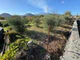Particella, ACI SANT