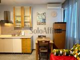 Affitto, Appartamento, LATINA, 450 €, 15,00 mq