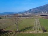 Particella, CAPRINO VERONESE, 70.000 €, 5897,00 mq