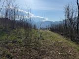 Particella, LEVICO TERME, <i>A richiesta</i>, 6300,00 mq