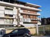 Affitto, Appartamento, MARINO, 750 €, 40,00 mq