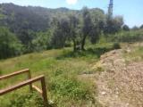 Particella, CAMPOROSSO, 100.000 €, 13000,00 mq