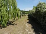 Particella, LANUVIO, 79.000 €, 5600,00 mq