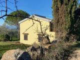Particella, ROCCASTRADA, 130.000 €, 60,00 mq