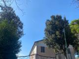 Casa, OSIMO, 220.000 €, 570,00 mq