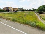Particella, MORDANO, 110.000 €, 699,00 mq