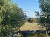 Particella, MODICA, 39.000 €, 7848,00 mq