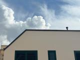 Appartamento, MILANO, 625.000 €, 95,00 mq