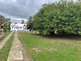 Appartamento, COMISO, 163.000 €, 150,00 mq
