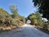 Particella, SACROFANO, 28.000 €, 87,00 mq