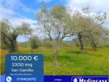 Particella, SASSARI, 10.000 €, 2300,00 mq