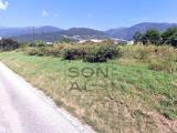 Particella, CASTELNUOVO, <i>A richiesta</i>, 8500,00 mq
