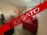 Affitto, Appartamento, MILANO, 1.170 €, 67,00 mq