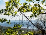 Affitto, Appartamento, TRIESTE, 1.300 €, 68,00 mq