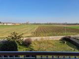 Appartamento, ALESSANDRIA, 75.000 €, 55,00 mq