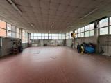 Superfici commerciali, MONZA, 245.000 €, 250,00 mq