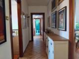 Appartamento, TREVISO, 124.000 €, 109,00 mq