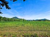 Particella, ESTE, 89.000 €, 16755,00 mq