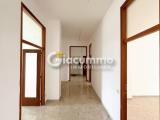 Affitto, Appartamento, POTENZA, 990 €, 219,00 mq