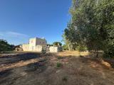 Particella, OSTUNI, 340.000 €, 190,00 mq