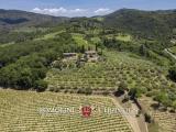 Casa, GREVE IN CHIANTI, <i>A richiesta</i>, 625,00 mq