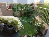 Appartamento, CASTAGNETO CARDUCCI, 205.000 €, 57,00 mq