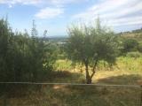 Particella, POGGIBONSI, 30.000 €, 3500,00 mq