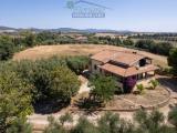 Casa, MONTALTO DI CASTRO, 1.000.000 €, 250,00 mq