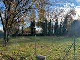 Particella, VENEZIA, <i>A richiesta</i>, 7000,00 mq