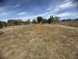 Particella, LATINA, Nascosa, 16.000 €, 858,00 mq