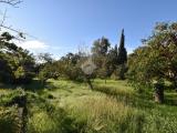Particella, TRIESTE, 179.000 €, 970,00 mq