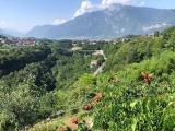 Casa, TRENTO, 450.000 €, 440,00 mq
