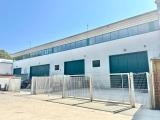 Superfici commerciali, NETTUNO, 220.000 €, 300,00 mq
