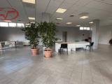Affitto, Superfici commerciali, MONTEVARCHI, 1.350 €, 135,00 mq