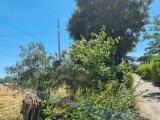 Particella, SAN CESAREO, 29.000 €, 3200,00 mq