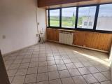 Affitto, Superfici commerciali, CARMIGNANO, 3.000 €, 470,00 mq