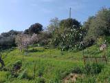 Particella, NUORO, 38.000 €, 9534,00 mq