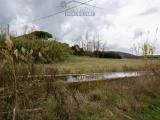 Particella, CAPALBIO, 300.000 €, 1800,00 mq
