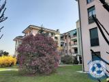Affitto, Appartamento, MONZA, 600 €, 41,00 mq