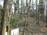 Particella, BIENTINA, 100.000 €, 1800,00 mq