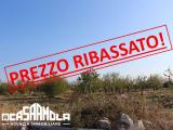 Particella, CONVERSANO, 18.000 €, 17,00 mq