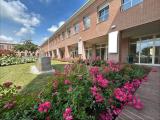 Affitto, Superfici commerciali, PARMA, 5.600 €, 350,00 mq