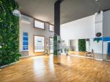 Superfici commerciali, ALBIGNASEGO, 195.000 €, 183,00 mq