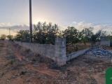 Particella, COLLEPASSO, 55.000 €, 10437,00 mq
