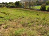 Particella, PINETO, 150.000 €, 888,00 mq
