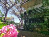 Casa, RIGNANO FLAMINIO, 500.000 €, 210,00 mq