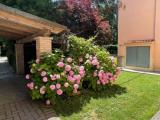 Appartamento, VENEZIA, 595.000 €, 130,00 mq